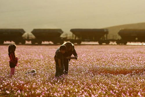 خشک ترین بیابان جهان